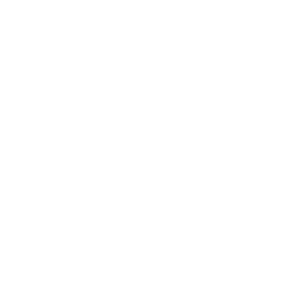 Logo Megamex