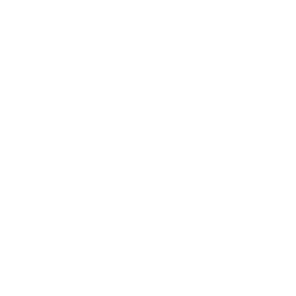 Logo Maxicarne