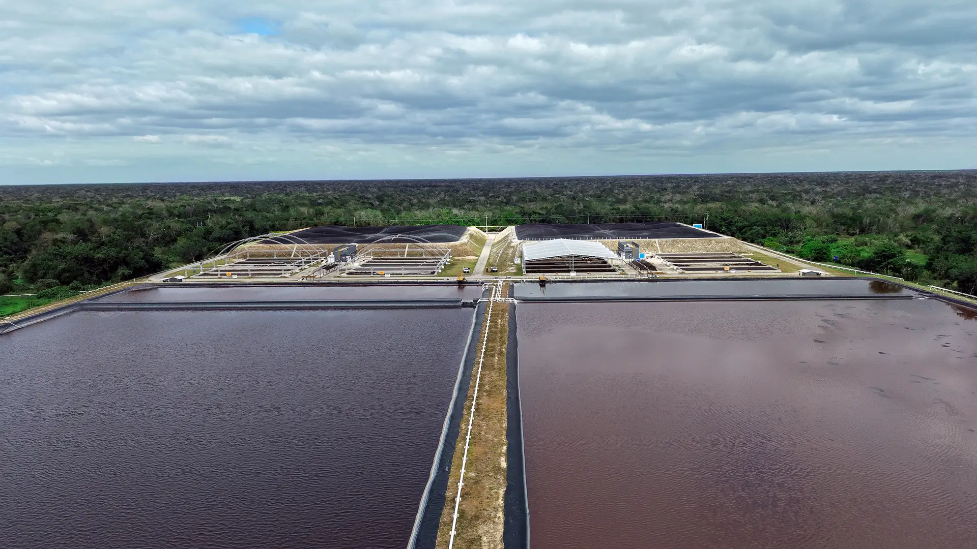 Vista aérea de planta